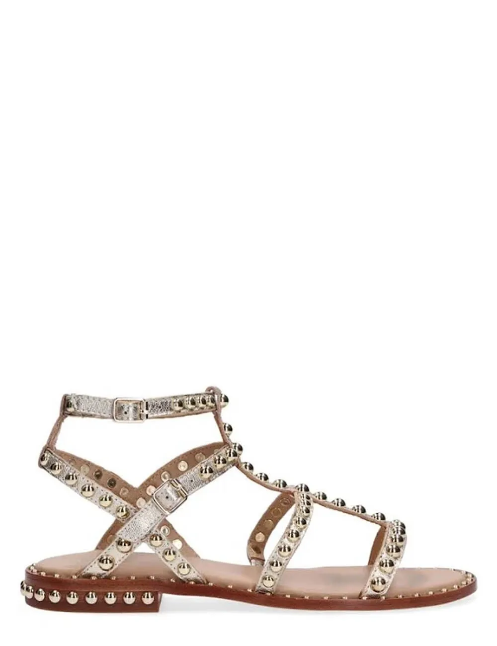 Ash     Sandalo Precious Light Gold