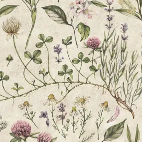 Dekornik Carta da parati Illustrazione botanica vintage 100x280 cm